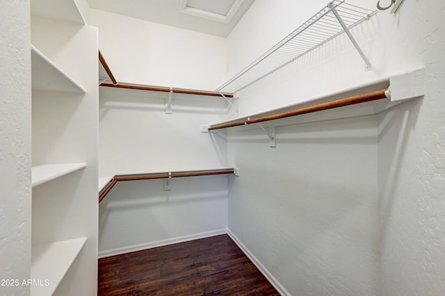 walk in closet featuring wood finished floors