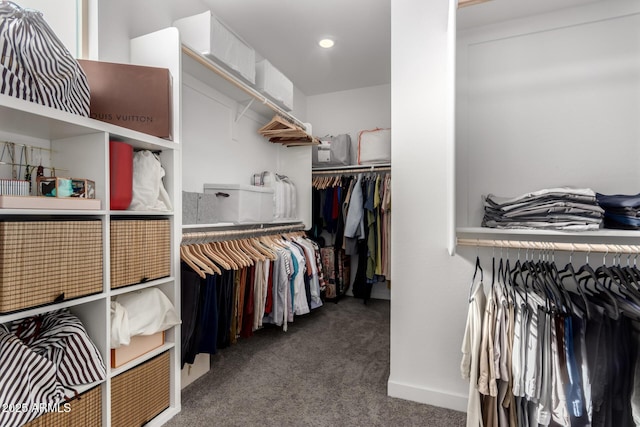 spacious closet with dark colored carpet