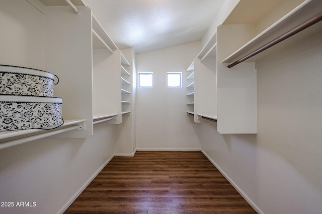 spacious closet featuring vaulted ceiling and wood finished floors