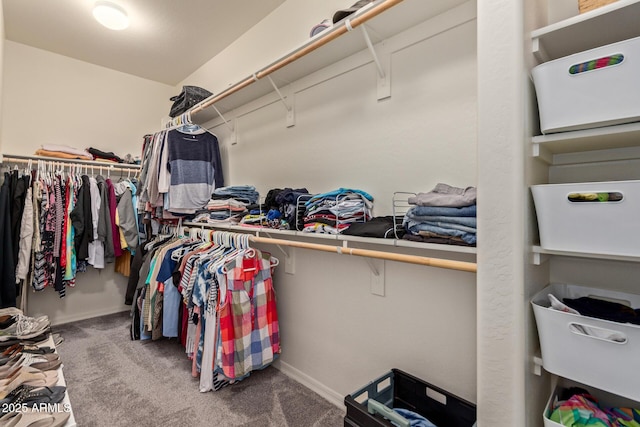 walk in closet featuring carpet flooring