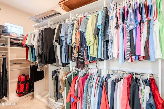 walk in closet with carpet flooring