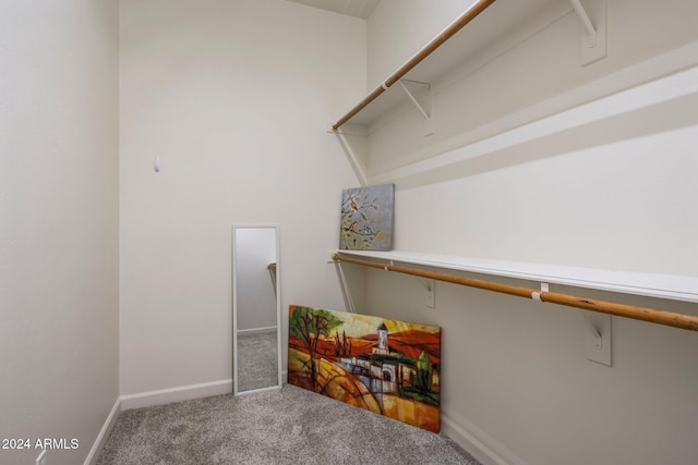 walk in closet featuring carpet floors