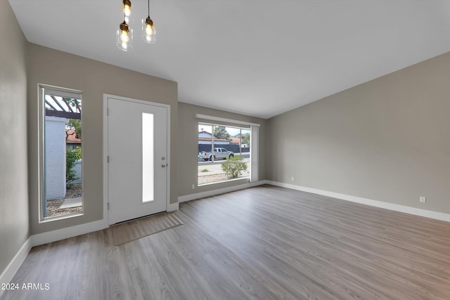 entryway with light hardwood / wood-style flooring and a wealth of natural light