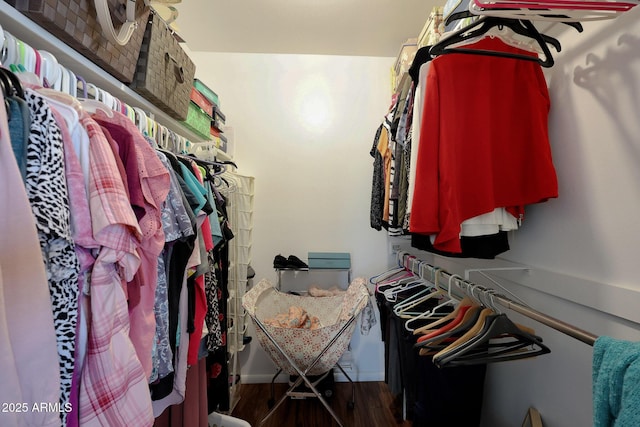 walk in closet with wood finished floors