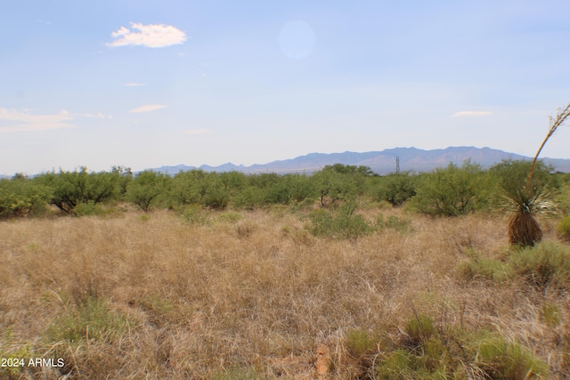 Listing photo 3 for LOT42 E De Vaca Cir Lot 42, Saint David AZ 85630