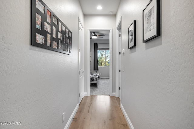 corridor with hardwood / wood-style flooring