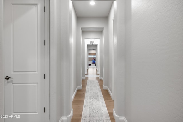 hall featuring light wood-type flooring