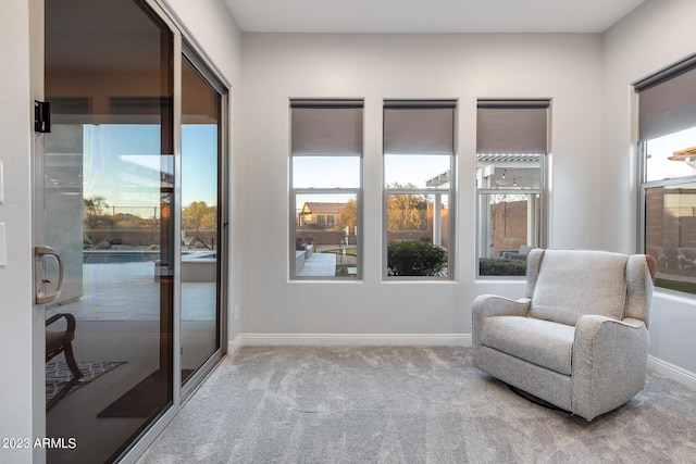 sitting room featuring carpet