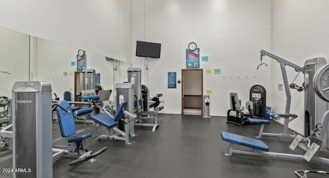 workout area featuring a towering ceiling