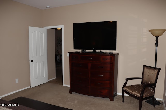 sitting room with light colored carpet