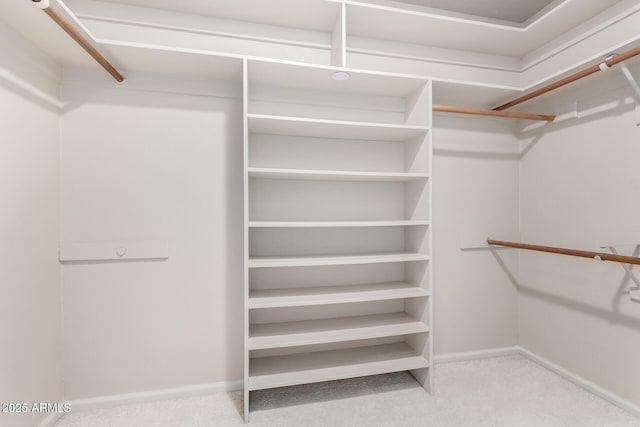 walk in closet with carpet