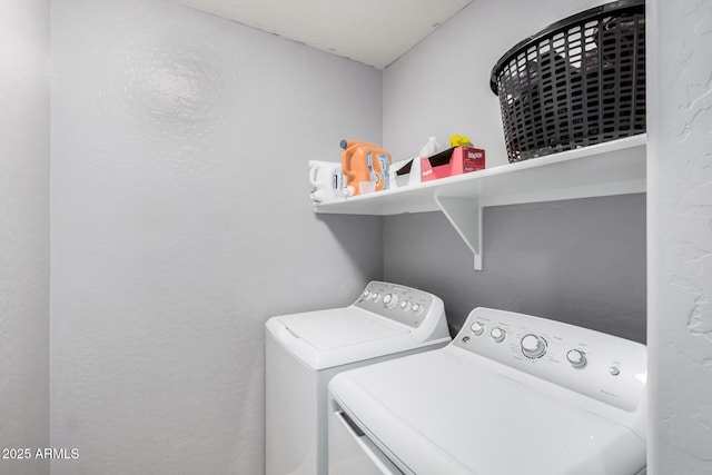 laundry room featuring laundry area and separate washer and dryer