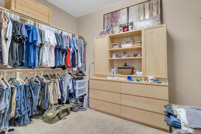 2383 E Zion Way, Chandler, AZ 85249 - spacious closet featuring carpet