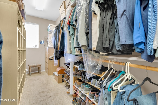 2383 E Zion Way, Chandler, AZ 85249 - walk in closet featuring carpet flooring