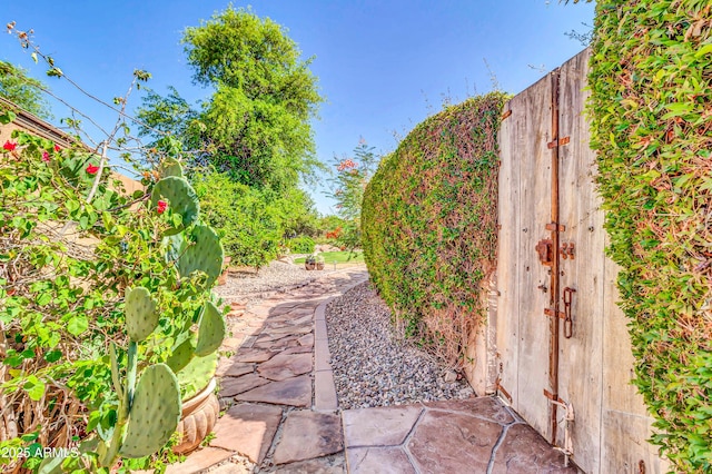 2383 E Zion Way, Chandler, AZ 85249 - view of yard