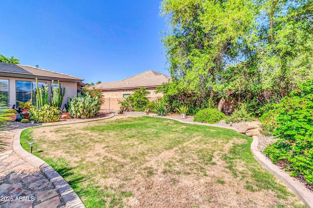 2383 E Zion Way, Chandler, AZ 85249 - view of yard