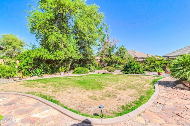 2383 E Zion Way, Chandler, AZ 85249 - view of fenced backyard