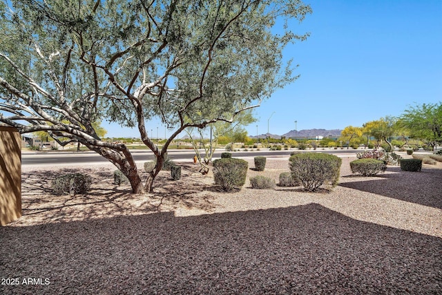 8245 E Bell Rd Unit 133, Scottsdale, AZ 85260 - view of yard
