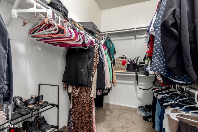 spacious closet with carpet