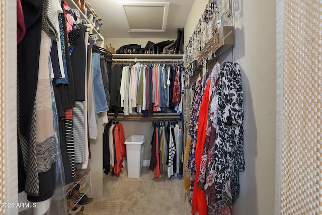 walk in closet with carpet flooring