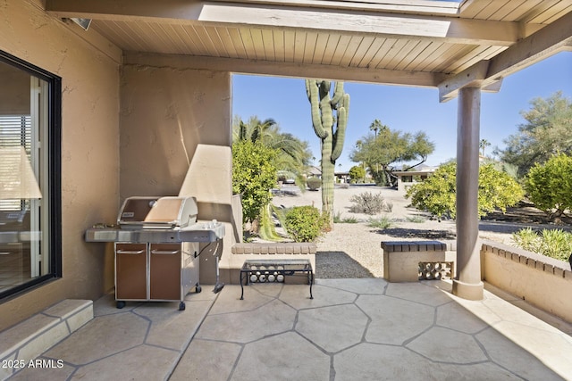 view of patio / terrace with area for grilling