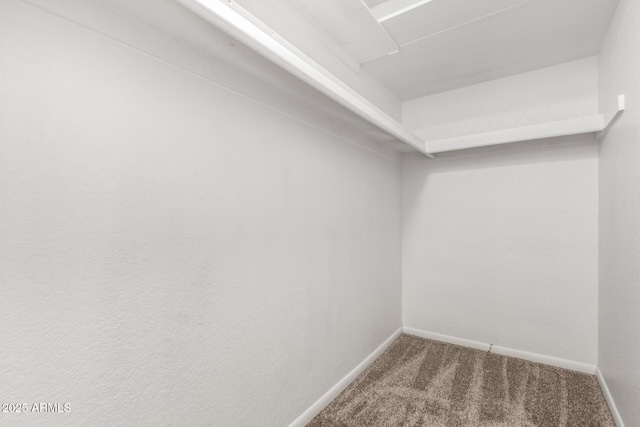 spacious closet with carpet