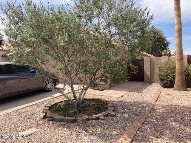 914 W Morelos St, Chandler, AZ 85225 - view of yard with a gate