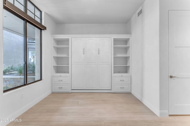 spacious closet featuring light wood-type flooring