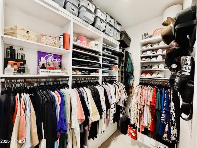 1657 W Monte Way, Phoenix, AZ 85041 - spacious closet featuring carpet flooring