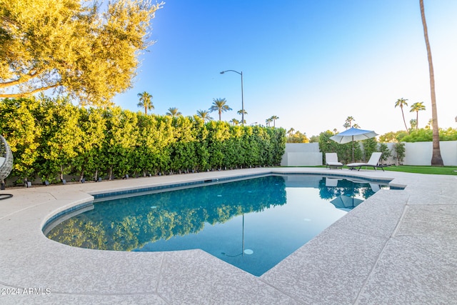 view of swimming pool