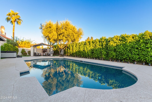 view of swimming pool with a patio