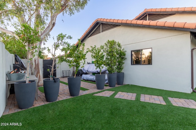 view of yard featuring a patio area