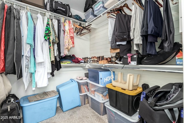 walk in closet with carpet flooring