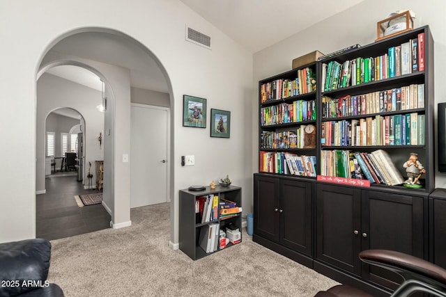 interior space with lofted ceiling and carpet flooring