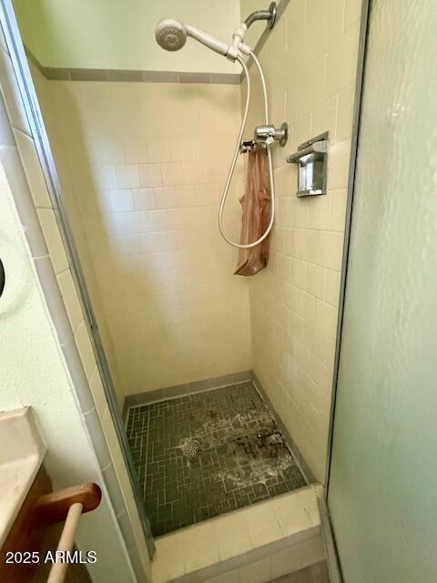 735 E Desert Ave, Apache Junction, AZ 85119 - full bathroom with a shower stall