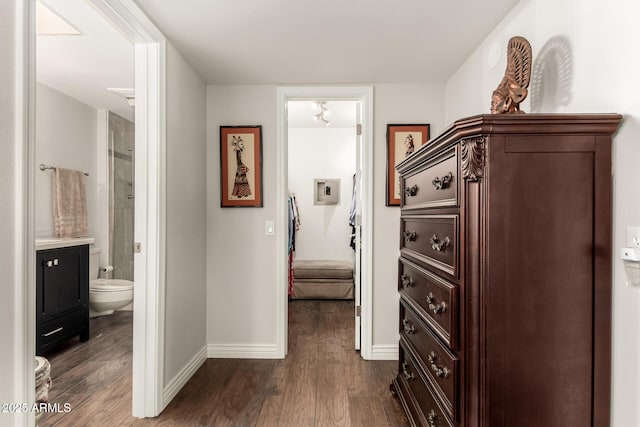 hall featuring dark hardwood / wood-style floors