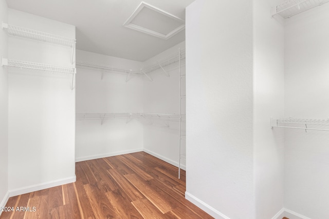 spacious closet featuring hardwood / wood-style floors