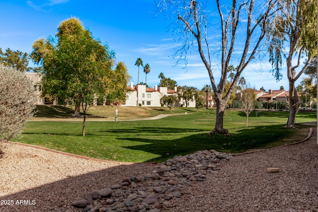 view of community with a yard