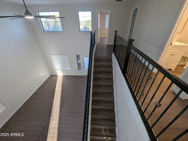 stairway with ceiling fan and hardwood / wood-style floors