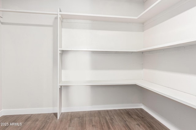 spacious closet featuring dark hardwood / wood-style flooring and built in desk