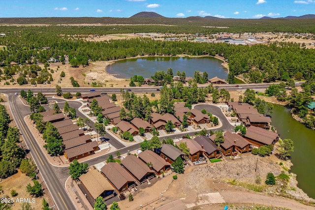 2540 W Waters Edge Ln, Lakeside, AZ 85929 - view of property location featuring a water and mountain view and nearby suburban area