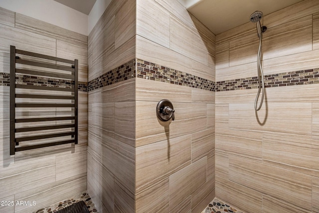 2540 W Waters Edge Ln, Lakeside, AZ 85929 - bathroom featuring radiator heating unit and a tile shower