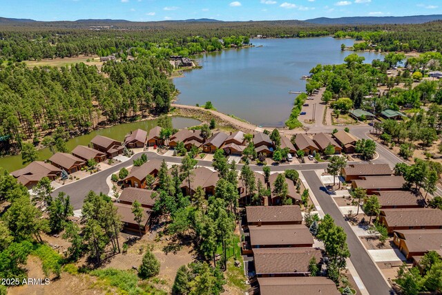 2540 W Waters Edge Ln, Lakeside, AZ 85929 - aerial view of residential area featuring a forest and a large body of water