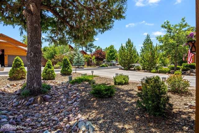 2540 W Waters Edge Ln, Lakeside, AZ 85929 - view of yard