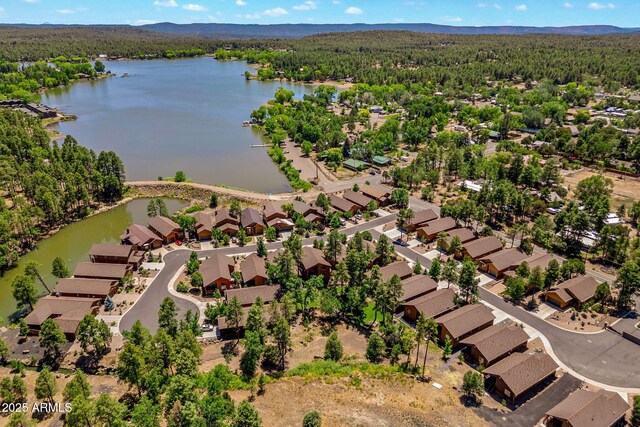 2540 W Waters Edge Ln, Lakeside, AZ 85929 - aerial view of residential area featuring a heavily wooded area and a nearby body of water