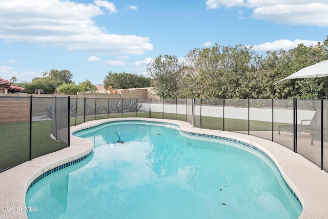 view of pool featuring a fenced in pool and a fenced backyard