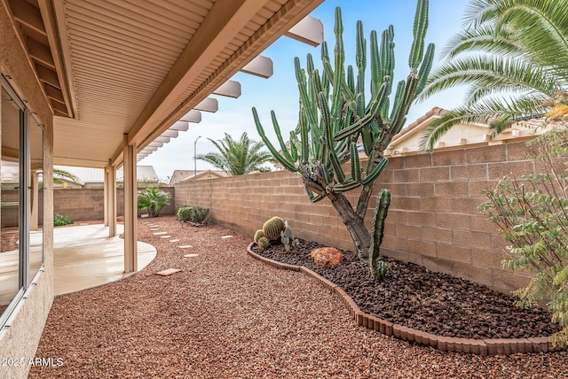 view of yard with a patio and a fenced backyard