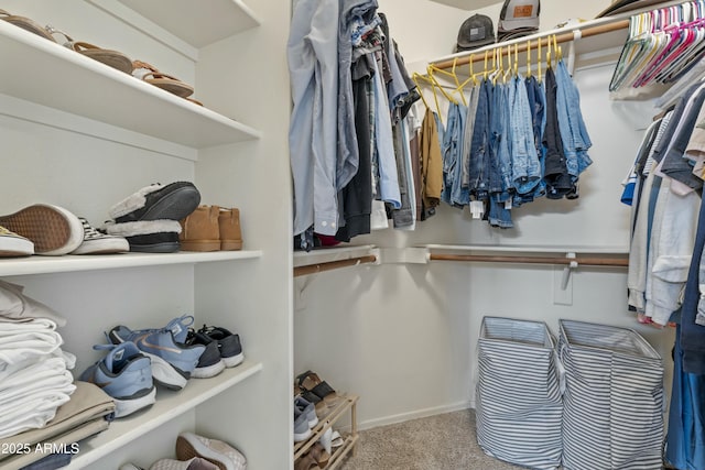 walk in closet featuring carpet floors