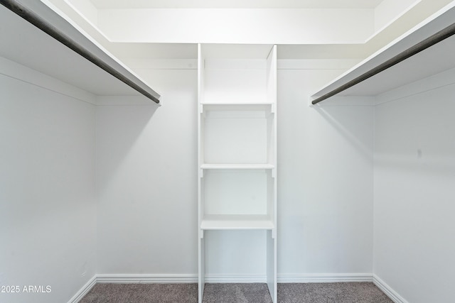 3743 E Coronado Rd, Phoenix, AZ 85008 - walk in closet with carpet flooring
