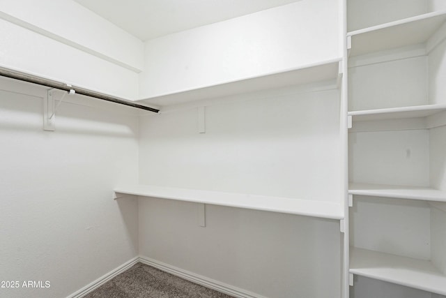 3743 E Coronado Rd, Phoenix, AZ 85008 - spacious closet with carpet flooring